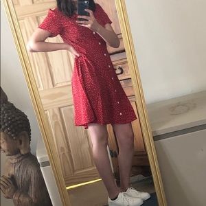 Meet your Posher, Bella